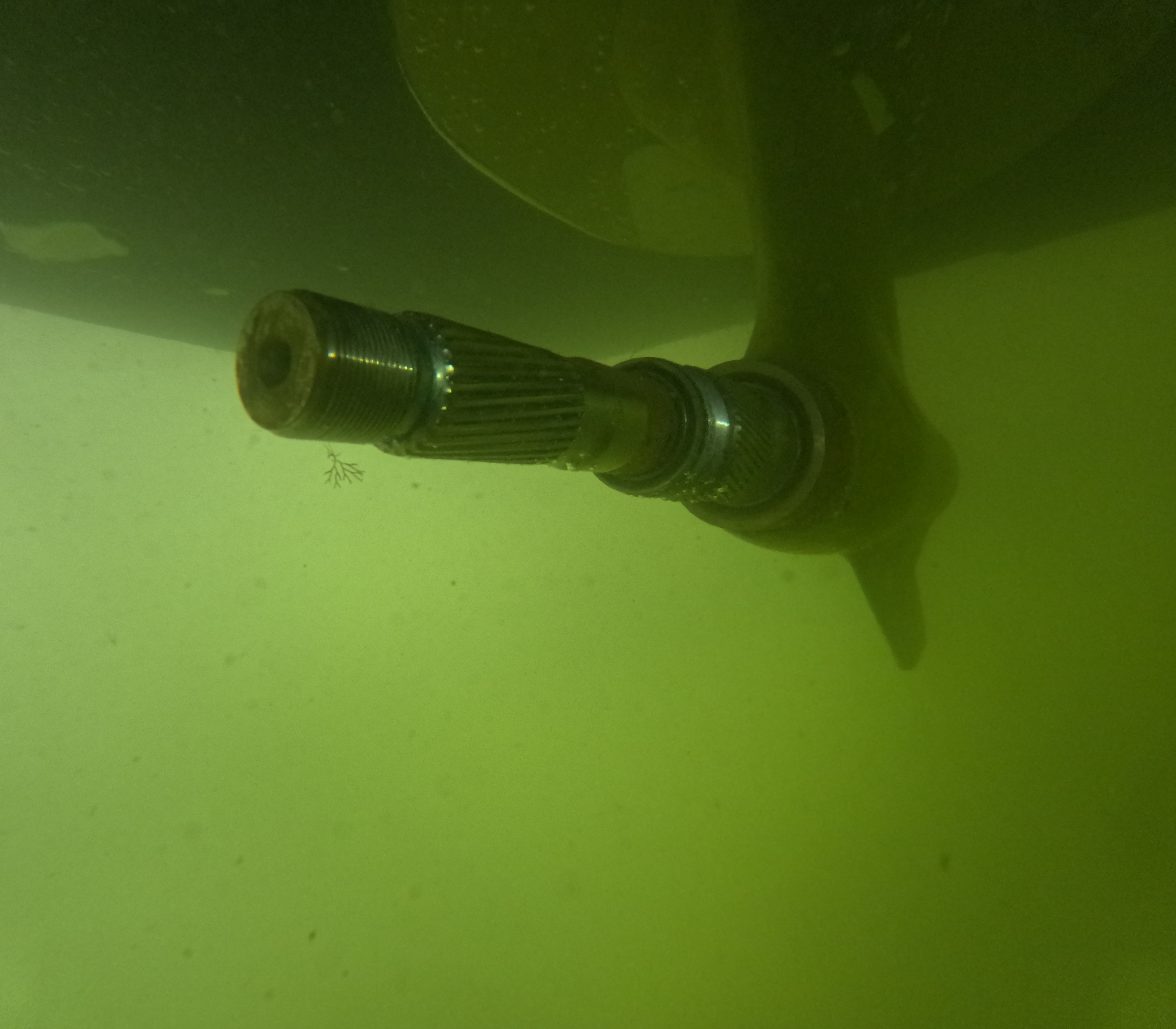 Vessel inspection