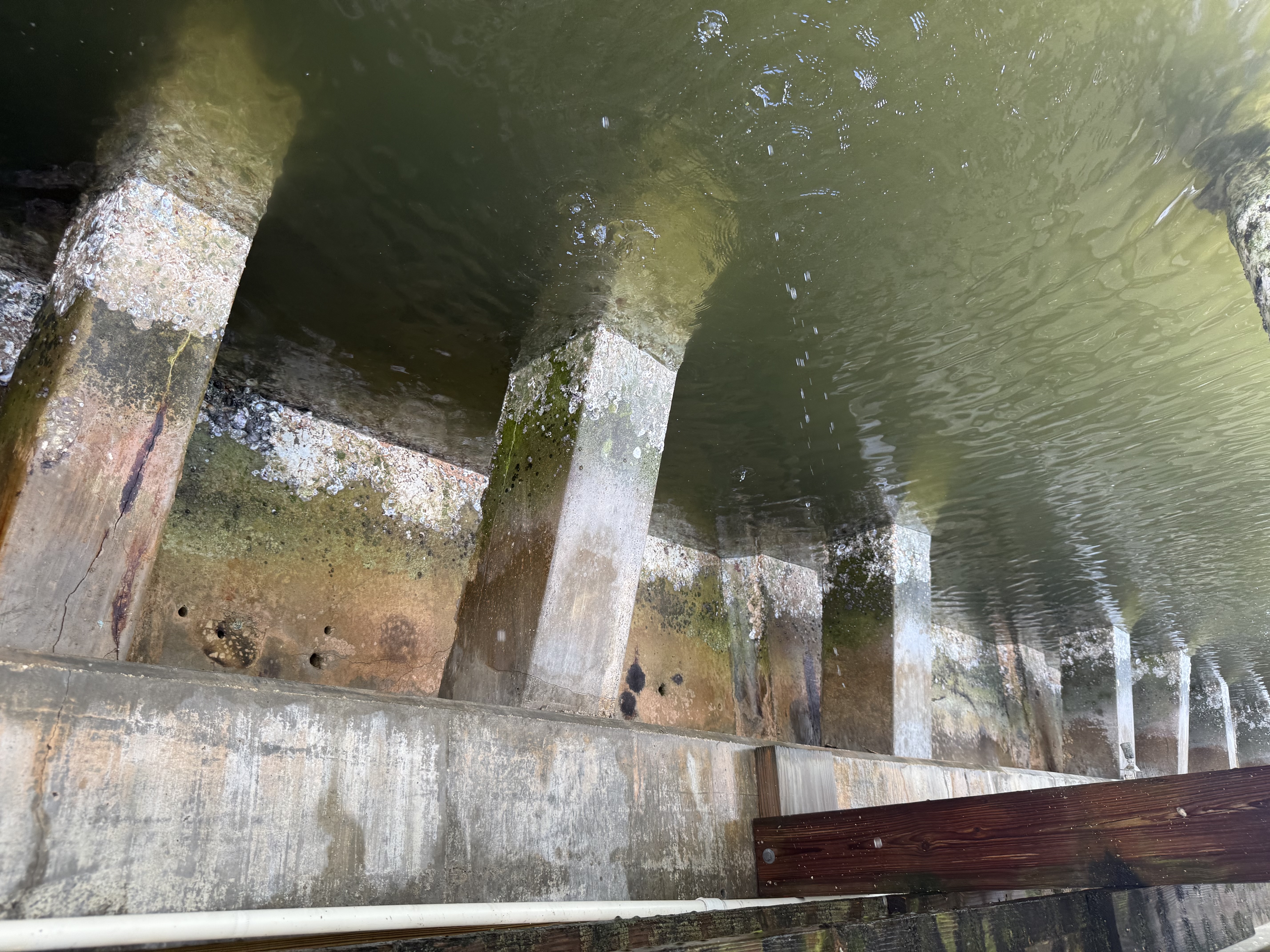 Seawall Cleaning