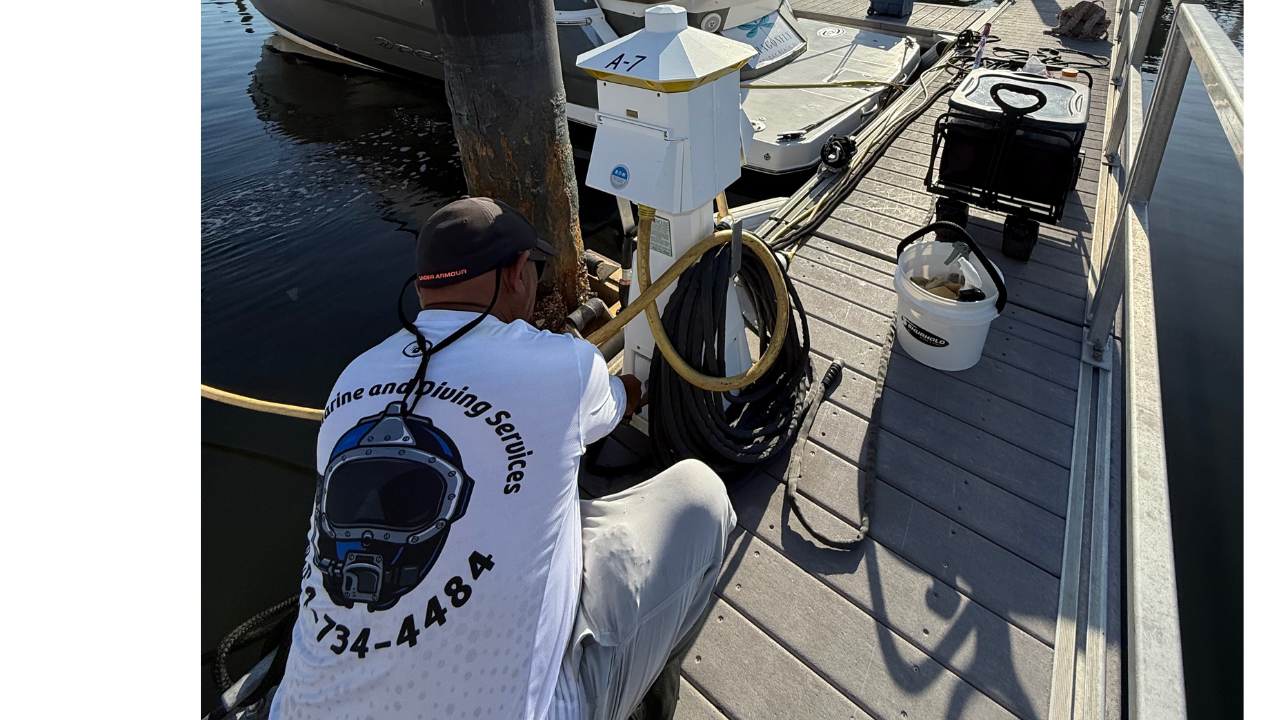 Top Side Dock Cleaning