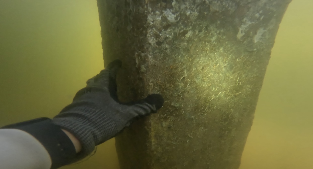Piling Cleaning